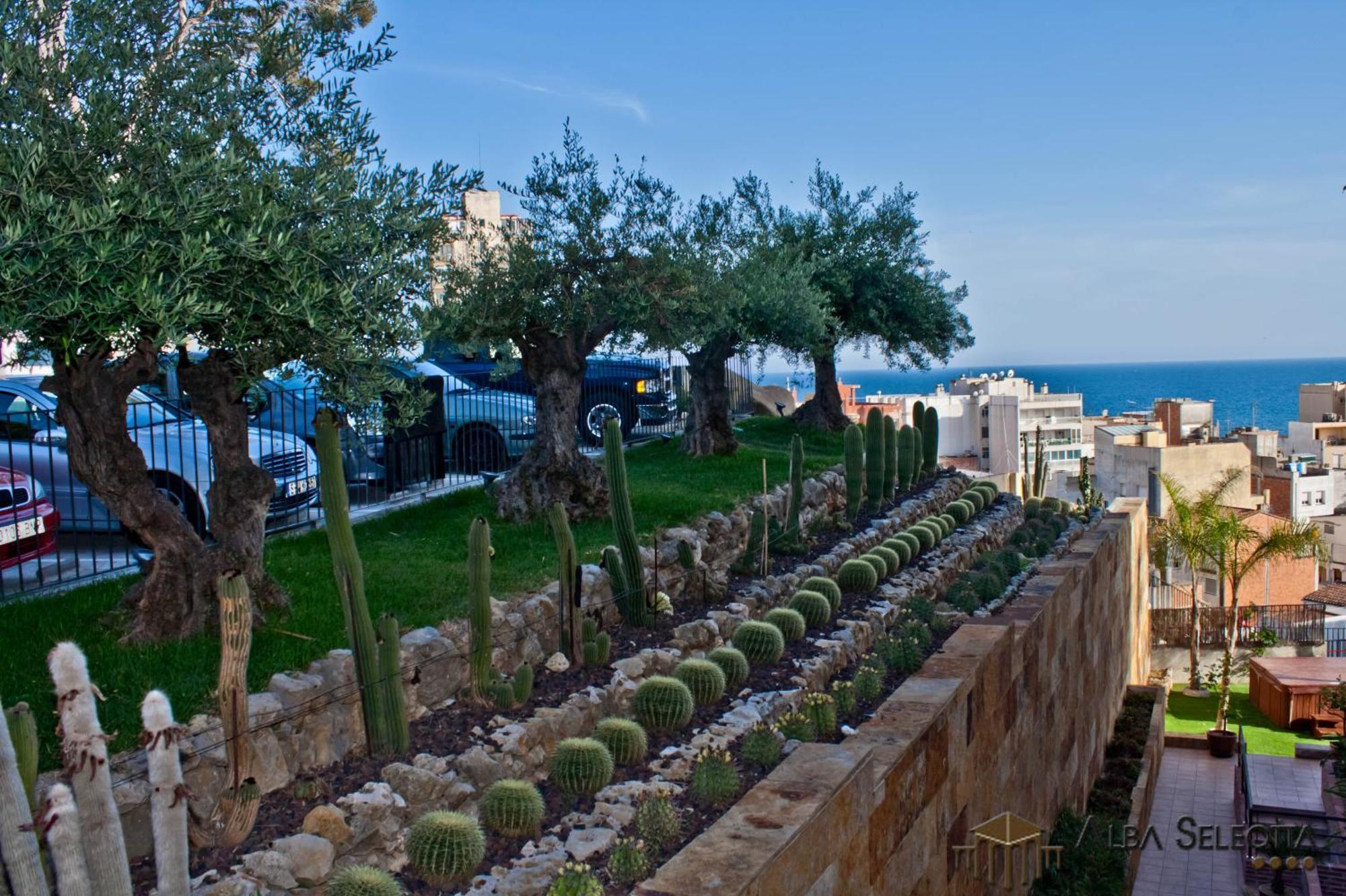 Hotel Alba Seleqtta يوريت دي مار المظهر الخارجي الصورة